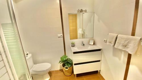 ein Badezimmer mit einem WC, einem Waschbecken und einem Spiegel in der Unterkunft Apartamento en La Noria Nerja by At Home Costa del in Nerja
