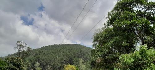 WhyNot Guesthouse Ella – Photos 2