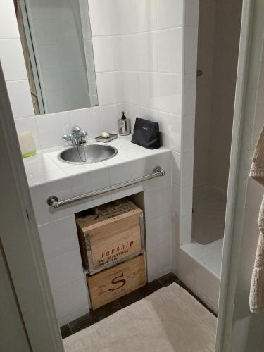 La salle de bains est pourvue d'un lavabo, d'un miroir et d'une boîte. dans l'établissement Charmant Studio 2 pers à Paris, à Paris