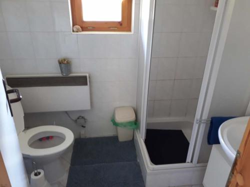 a small bathroom with a toilet and a sink at Útulná chata na horách in Valašské Klobouky