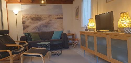 un salon avec un canapé et une télévision dans l'établissement Ocelandes, à Saint-Julien-en-Born
