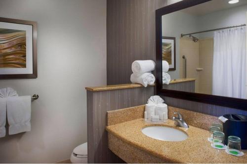 a bathroom with a sink and a mirror at Courtyard Memphis Collierville in Collierville