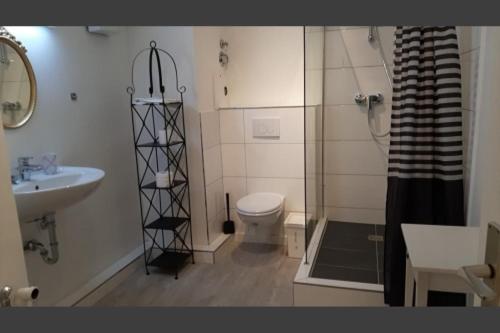 a bathroom with a shower and a toilet and a sink at Apartment 41 Citynah, Bad extern, einfache Ausstattung in Hamburg