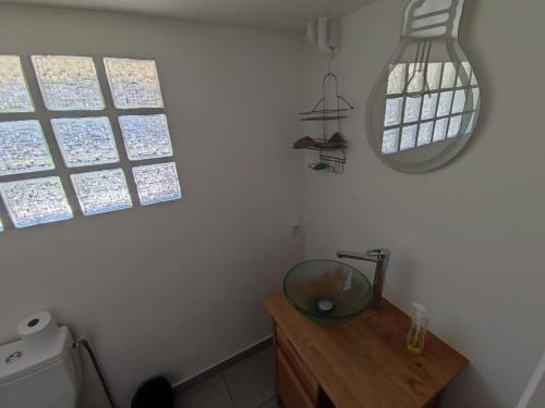 ein Bad mit einem Waschbecken und einem Spiegel in der Unterkunft Studio privé dans maison in Le Plessis-Trévise