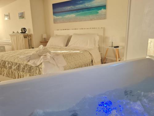 a bath tub in a bedroom with a bed at Il Sogno delle Rondini in Palidoro