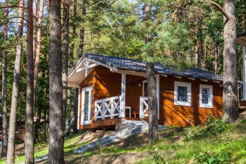 a cabin in the woods with trees at Domki Szarlota - atrakcje dla rodzin na Kaszubach in Kościerzyna