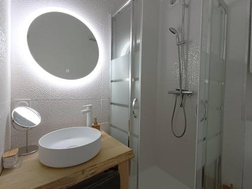 une salle de bain avec un lavabo et une douche avec un miroir dans l'établissement Appartement au centre de TREBEURDEN et à 400m de la plage - Réf 662, à Trébeurden
