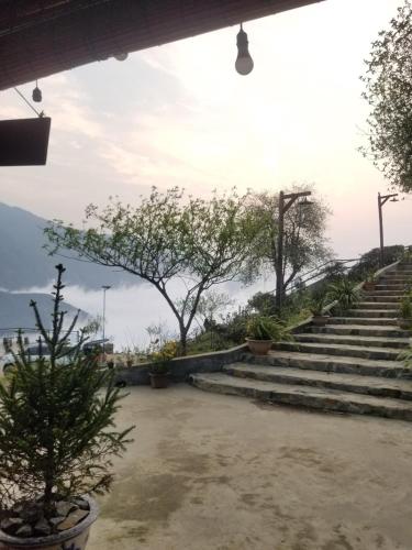 a set of stairs with trees and potted plants at Ta Xua Ecolodge in Bắc Yên