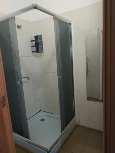 a shower with a glass door in a bathroom at Gelena Гостьовий двір in Uzhhorod