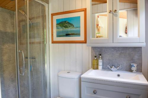 a bathroom with a toilet and a sink and a shower at Colly Farm in Bridport