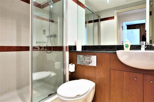 a bathroom with a toilet and a sink and a shower at Large Bright Apartment by Dun Laoghaire Harbour in Dublin