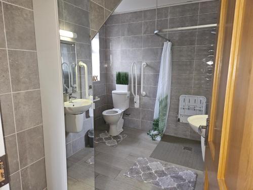 a bathroom with a toilet and a sink at Holiday in The Heart of Kerry in Castlemaine