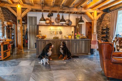 B&B Hof van Eerde – Photos 3