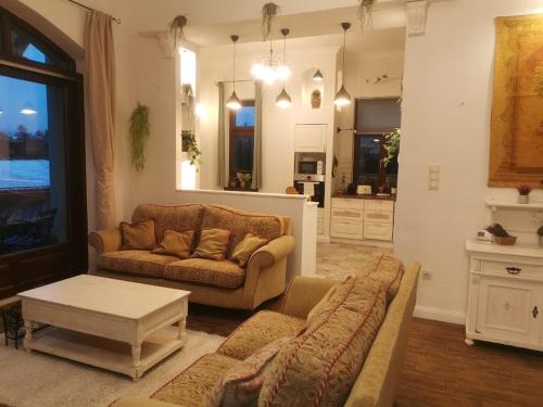 布達佩斯的住宿－Kúria apartman with private jacuzzi and pool，带沙发和咖啡桌的客厅