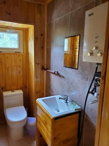 a bathroom with a toilet and a sink at La Estrella complejo del lago in Lago Meliquina