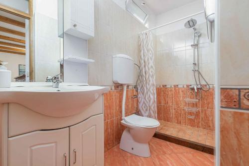 La salle de bains est pourvue d'un lavabo, de toilettes et d'une douche. dans l'établissement Apartment in Porec - Istrien 46934, à Poreč