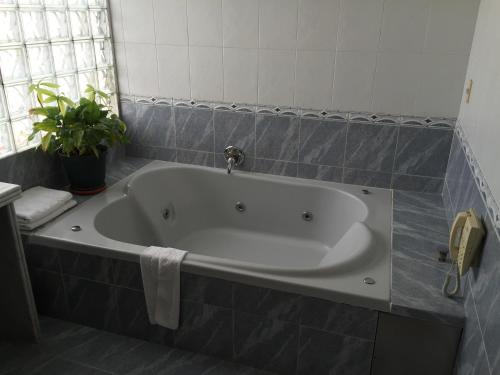 a white bath tub in a bathroom with a plant at Crystal Palace Hotel in Montevideo