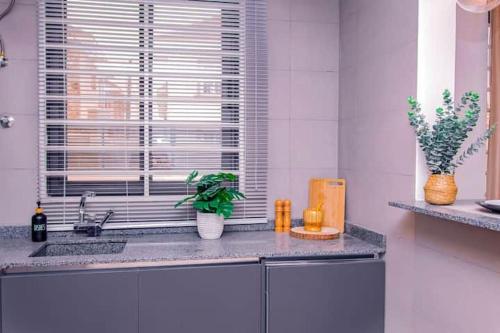 eine Küche mit einem Waschbecken und ein Fenster mit Pflanzen in der Unterkunft Harmony villa in Tema
