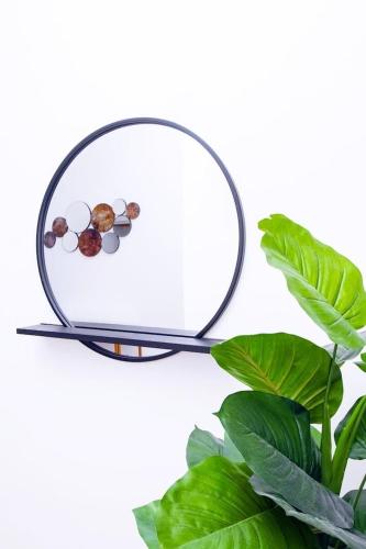 a mirror with a plant in front of it at Harmony villa in Tema