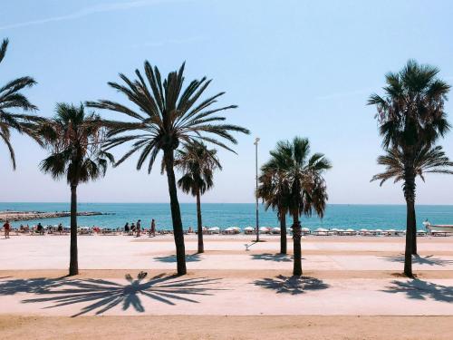 a group of palm trees on a beach at Yacht in Barcelona in Barcelona