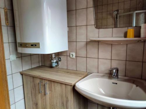 ein kleines Bad mit einem Waschbecken und einem Spiegel in der Unterkunft Apartment with mountain view near centre in Maria Alm am Steinernen Meer