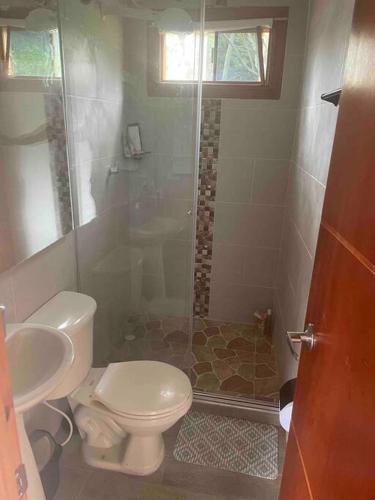 a bathroom with a shower and a toilet and a sink at Cabaña de dos habitaciones CAPRI Eje Cafetero in Circasia