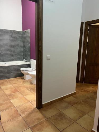a bathroom with a toilet and a bath tub at Casa Rural - Vivienda Arado in Puerto del Pino