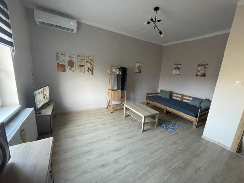 Televisyen dan/atau pusat hiburan di Liliom Apartman Békéscsaba