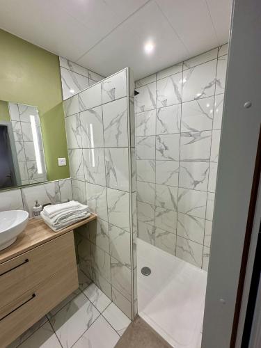 une salle de bain avec douche et lavabo dans l'établissement Studio champenois, à Nogent-lʼArtaud