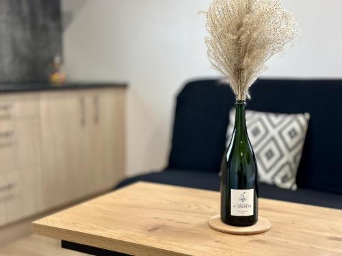 - une bouteille de vin avec une plante sur une table dans l'établissement Studio champenois, à Nogent-lʼArtaud