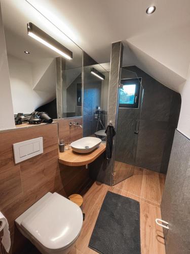 een badkamer met een toilet, een wastafel en een douche bij Spessart Chalet in Dammbach