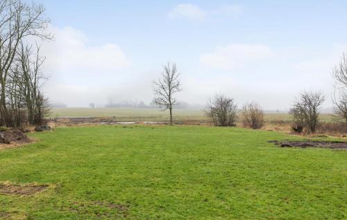 a grassy field with a tree in the distance at Nice Home In Roslev With Kitchen in Roslev