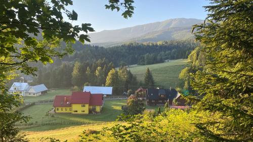 a village in the mountains with houses and trees at Apartamenty i pokoje w Zawoi Dorota Miśkowiec in Zawoja