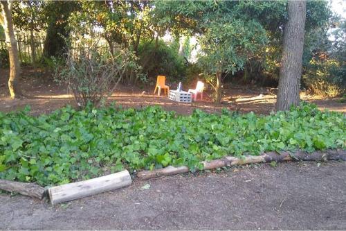 alojamiento Casa familiar con gran terreno. Villa Gesell