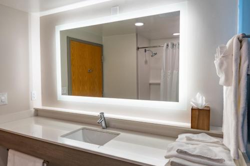 a bathroom with a sink and a large mirror at Holiday Inn Express Carneys Point New Jersey Turnpike Exit 1, an IHG Hotel in Carneys Point
