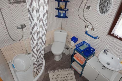 a bathroom with a toilet and a sink and a shower at Domek letniskowy Fuleda in Fuleda
