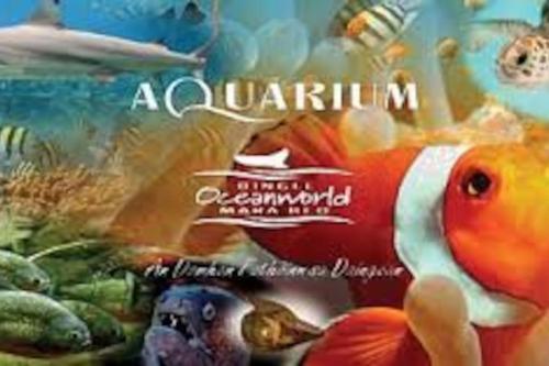 a book cover of a aquarium with a fish at no9 Ard Na Mara in Dingle