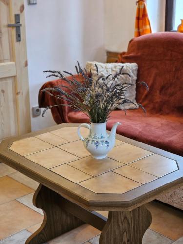 a coffee table with a vase on top of it at Alfapartmány in Krásná Lípa
