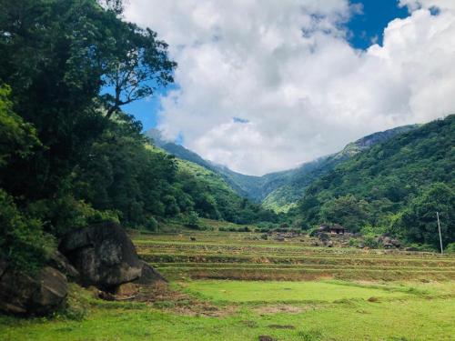 凱格勒的住宿－Ceylon Guest，享有山脉背景的田野景色