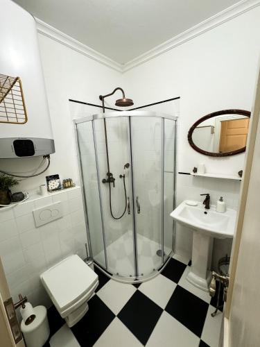 a bathroom with a shower and a toilet and a sink at Opera apartments in Banská Štiavnica