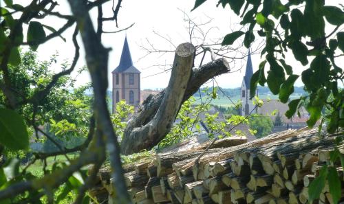 a church with a tree on top of a wall at L’Été en Novembre in Kirrwiller