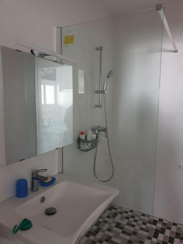 une salle de bain blanche avec une douche et un lavabo dans l'établissement Escapade bucolique vallée de la Loire, à Maillé