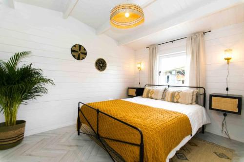 ein Schlafzimmer mit einem Bett und einer Topfpflanze in der Unterkunft The Apiary in Killarney