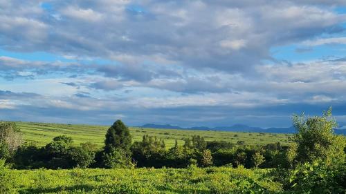 un campo verde con árboles y un cielo nublado en Cabaña del Cedro Azul, San Lorenzo en Salta