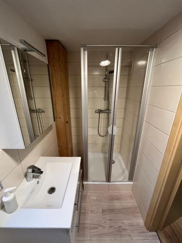 a bathroom with a shower and a white sink at Ferienwohnung Roggenbach in Büdelsdorf
