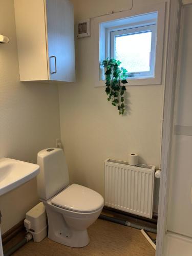 a bathroom with a toilet and a sink and a window at Modern seaview vacation house, Ilulissat in Ilulissat