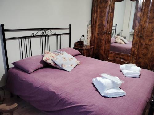 都靈的住宿－La casa dei nonni - Ampio trilocale zona Lingotto，一间卧室配有一张紫色床和毛巾