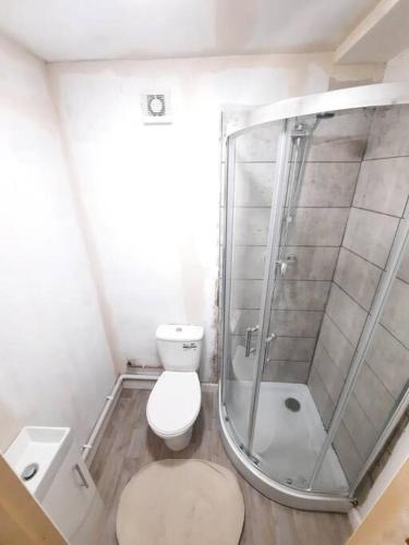 een witte badkamer met een douche en een toilet bij Basic 5-bedroom home - Affordable accommodation for groups in Swansea
