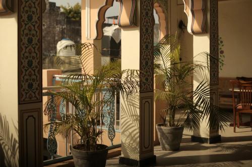 Ein Garten an der Unterkunft KothiPushkar