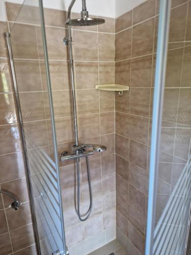 łazienka z prysznicem i szklanymi drzwiami w obiekcie Apartment Buric w mieście Županje